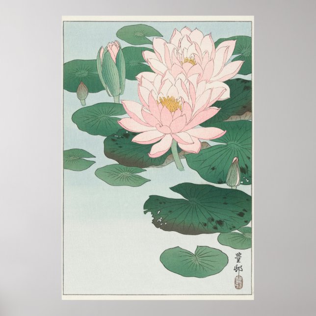 Poster Lys d'eau (Devant)