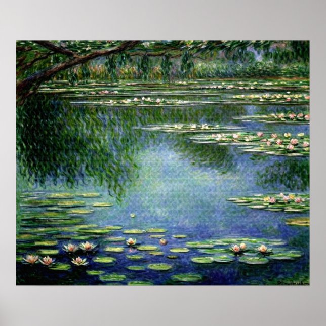 Poster Lys d'eau (1) (Devant)