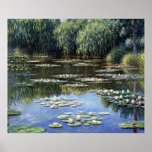 Poster Lys d'eau (2)