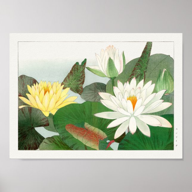 Poster Lys d'eau par Tanigami Konan (Devant)