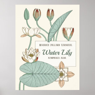 Poster Lys d'eau Verneuil Fleurs Art Nouveau décoratives