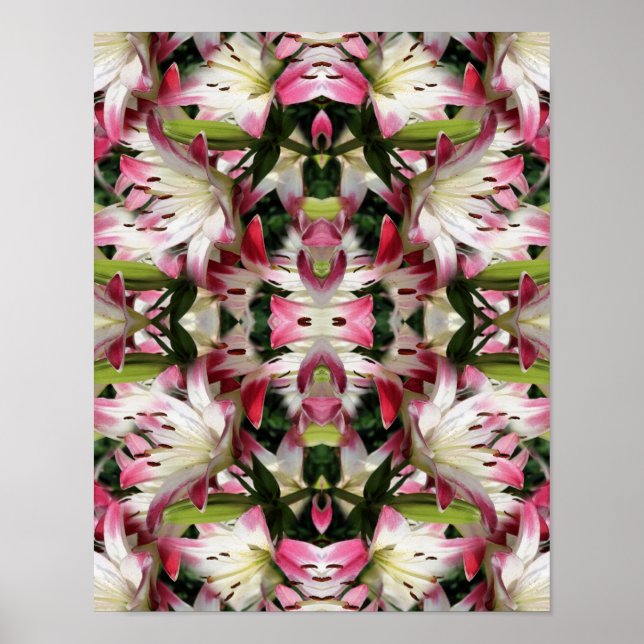 Poster Lys Rouge Et Blanc Floral Abstrait (Devant)