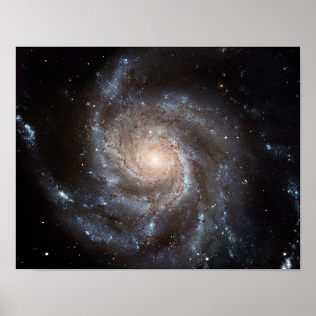 Poster M101 Pinwheel Spiral Galaxy NASA (Devant)