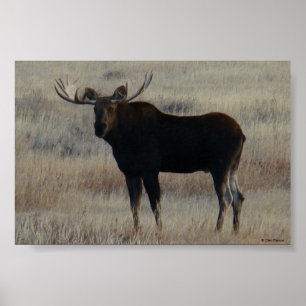 Poster M4 Bull Moose Big Bull