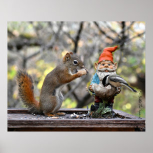 Poster M. Bickles L'affiche de l'écureuil