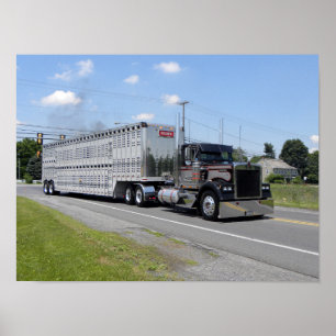 Poster M. Brown Kenworth W900B