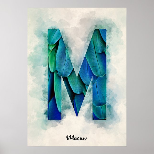 Poster M est pour Macaw (Devant)