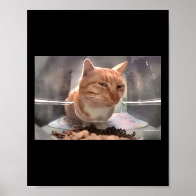 Poster M. Fresh Chat Mème Côté Oeil Cat (Devant)