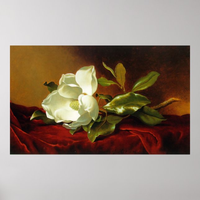 Poster M J Heade | Un Magnolia sur Red Velvet (Devant)