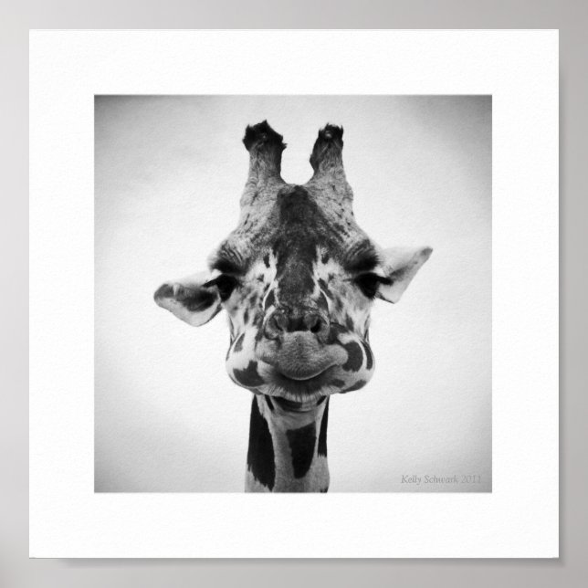 Poster M. Serious Giraffe Photographie noir et blanc (Devant)