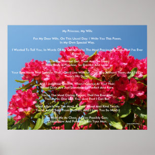 Poster Ma princesse, ma femme