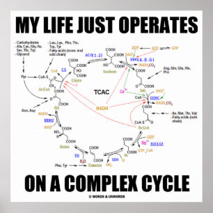 Poster Ma Vie Fonctionne Sur Un Cycle Complexe (Krebs)