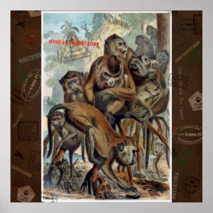 Poster Macaques pour un voyage responsable