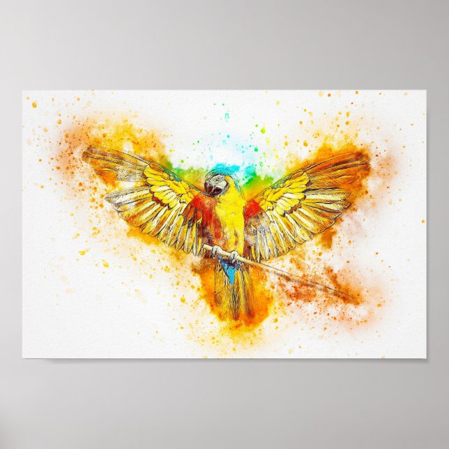 Poster Macaw (Devant)