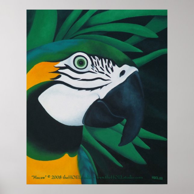 Poster Macaw (Devant)