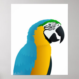 Poster Macaw bleu et jaune