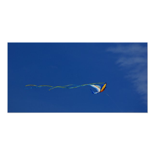 Poster Macaw Kite (Devant)