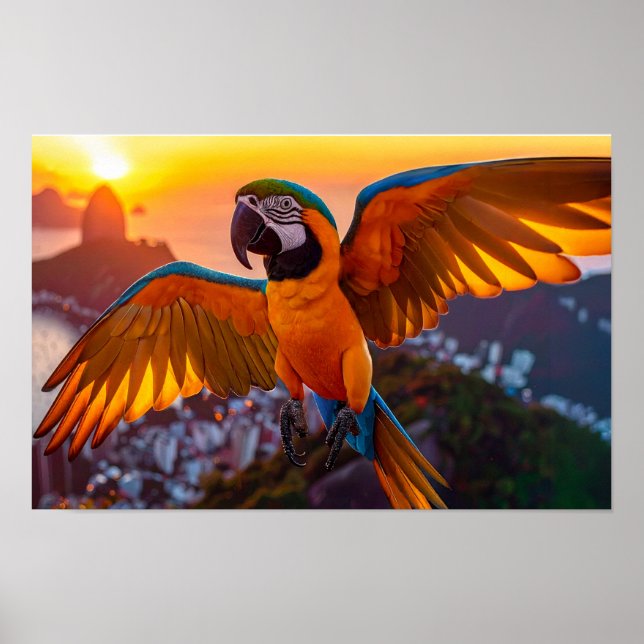 Poster Macaw sur l'affiche horizontale de Rio de Janeiro (Devant)