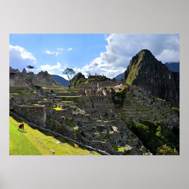 Poster Machu Picchu dans l'après-midi, Pérou (Devant)