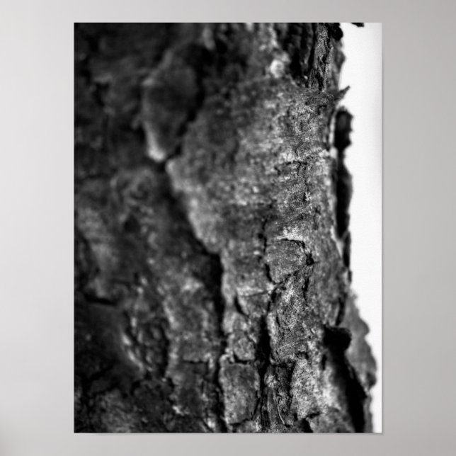 Poster Macro d'écorce d'arbre noir et blanc (Devant)