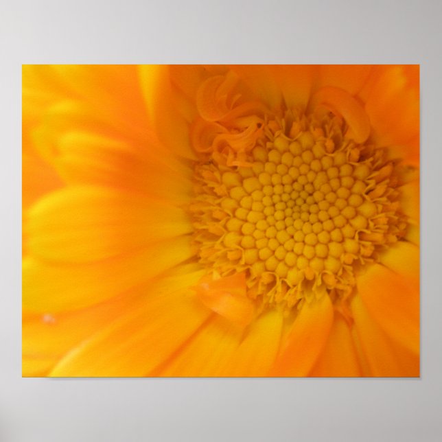 Poster Macro-impression de Souci Orange (Devant)