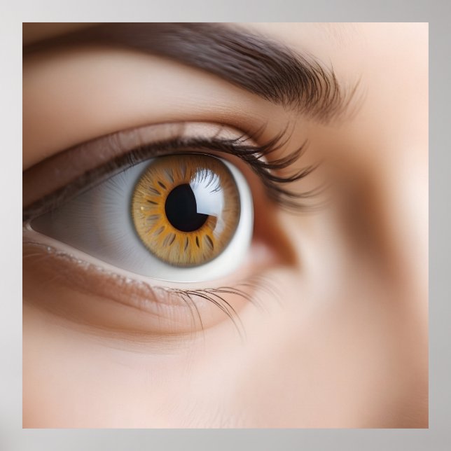 Poster Macro oeil femelle (Devant)
