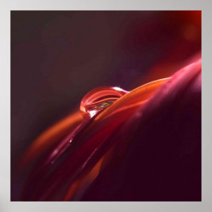 Poster Macro pétale rouge