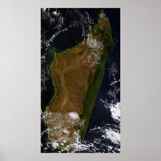 Poster Madagascar (Devant)