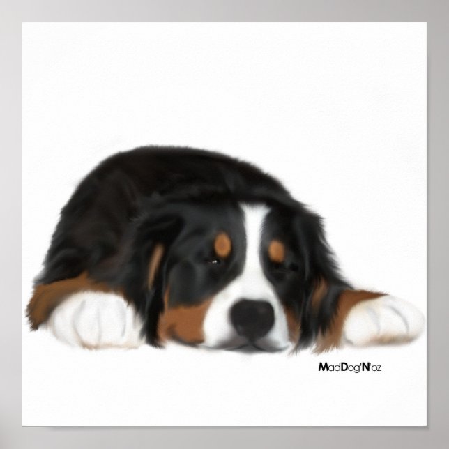 Poster MadDog's Sneak a Peek Print (Devant)