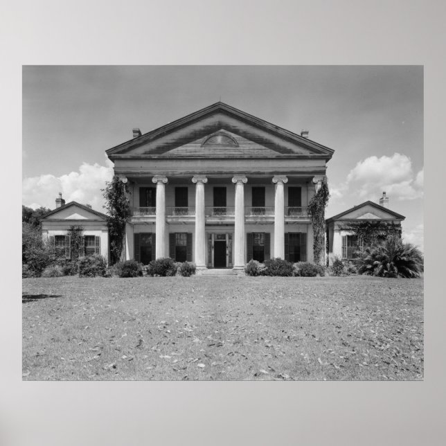 Poster Madewood Plantation (Devant)