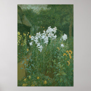 Poster Madonna Lilies dans un jardin