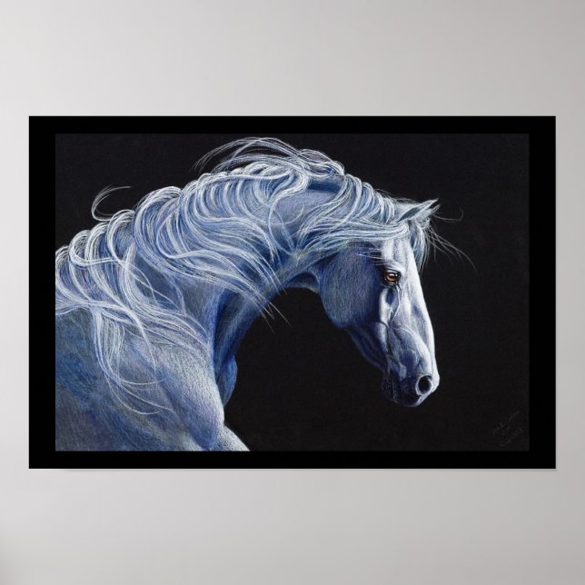 Poster Maestoso Sonny (Devant)