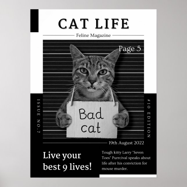 Poster Magazine CAT LIFE (Devant)