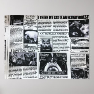 Poster Magazine de chats
