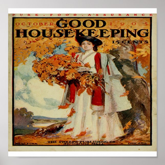 Poster Magazine victorien de bon ménage 1905 encadré P (Devant)