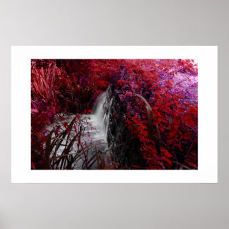 Poster Magenta