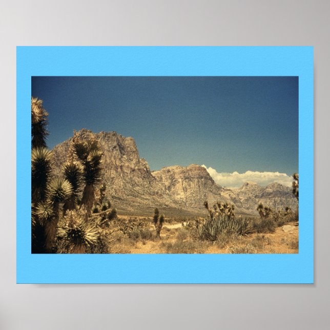 Poster Magie du désert (Devant)