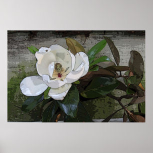 Poster magique Magnolia -36x24 -autres tailles aus