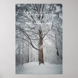 Poster Magnifique hêtre dans la forêt hivernale