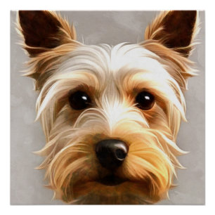 Poster Magnifique Mignonne Yorkshire Terrier Chiot Flotta