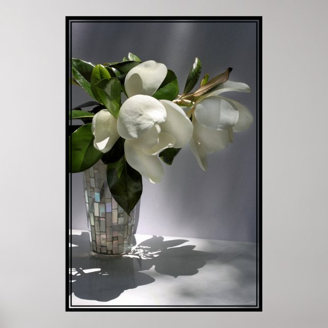Poster Magnolia Bouquet -40x60 -autres tailles aus (Devant)