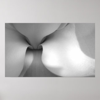 Poster Magnolia Canvas