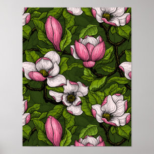 Poster Magnolia en floraison sur vert foncé