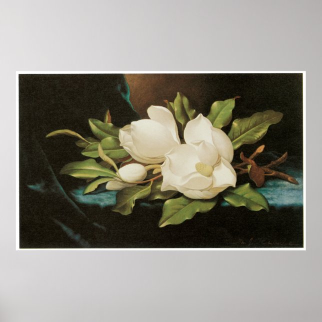 Poster Magnolias géant sur un tissu de velours bleu, vers (Devant)