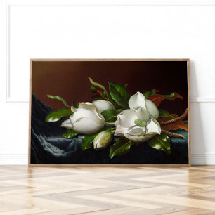 Poster Magnolias sur fond bleu clair par Martin Johnson H