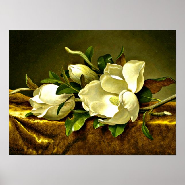 Poster Magnolias sur le tissu en velours or (Devant)