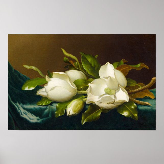 Poster Magnolias sur tissu bleu clair en velours par M J  (Devant)