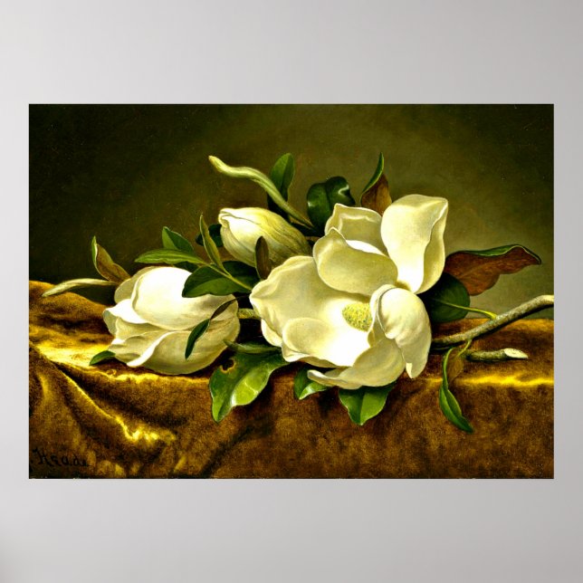 Poster Magnolias sur Veston d'or, peinture d'art (Devant)