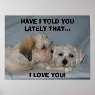 POSTER M'AI VOUS AI DIT RÉCEMMENT CELA… J'AIME…