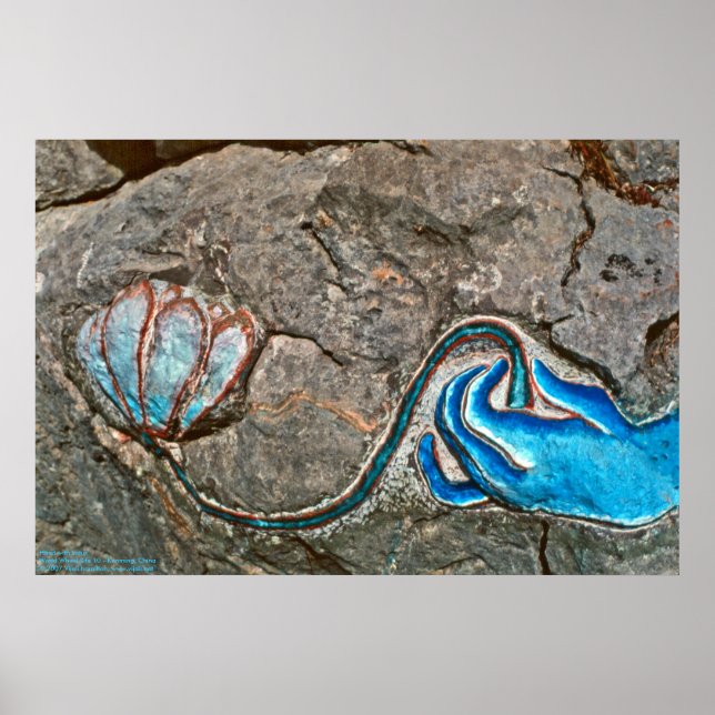 Poster Main avec Lotus/Poster (Devant)